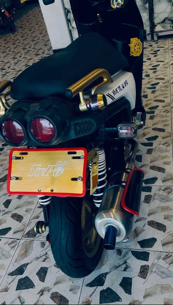 سكنس جبلي مكفوله 
واسط العزيزيه 
***********
