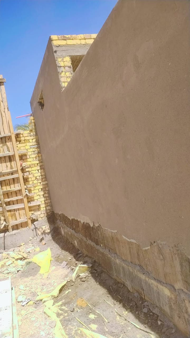 جص • بياض • متفرغ