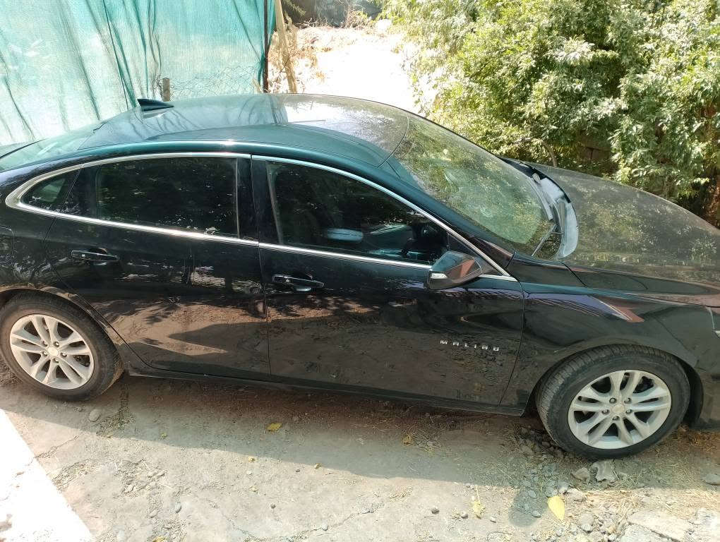 ٢٠١٨ • بدون بوية • شمشمل