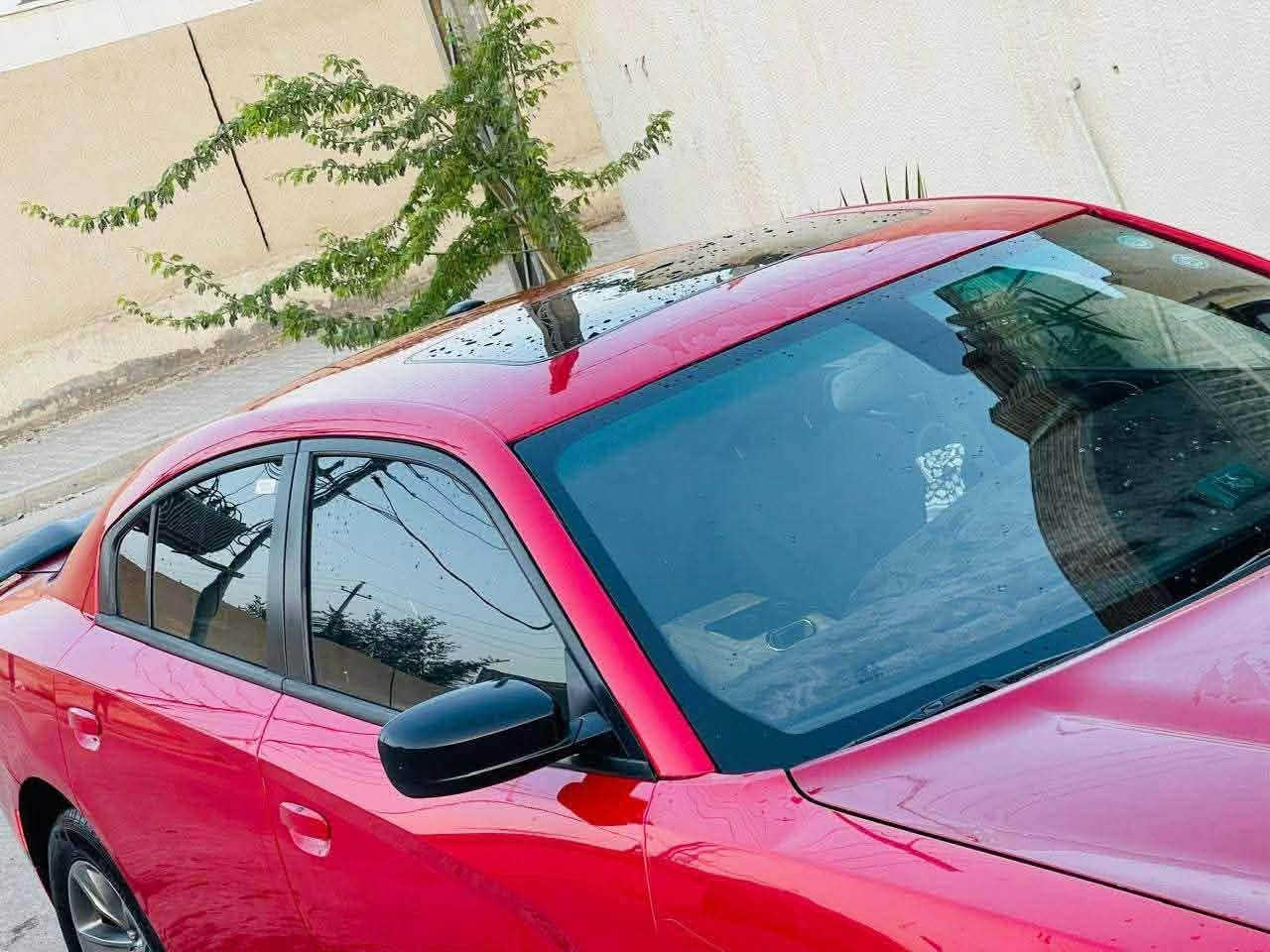 فول مواصفات جارجر ١٦معلايه 20
تنته
تحكمات
تبريد
تدفئه
كير
محرك
اكسل
حداديه
تحويل ثاني يوم
كنديه بابين كلير وبنيد مبدل جاهزه للاخير
السعر ١٥٠وبيهه مجال للطيبين مكاني بصره ***********
