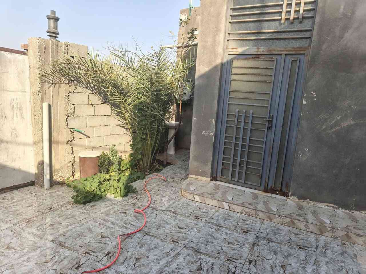 بيت زراعي للبيع مساحه 200 + قطعه مساحه 200 
لبيت يحتوي ع غرفتين وصاله وديوانيه ومطبخ وصحيات وساحه وحديقه لبيت بناء جديد طريق سوق الشيوخ فضليه شارع مشتل زهور سعر مناسب 53 وبي مجال ***********
