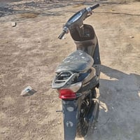 عصفوريه فحل • كابريتر جديد • سلف وهندر