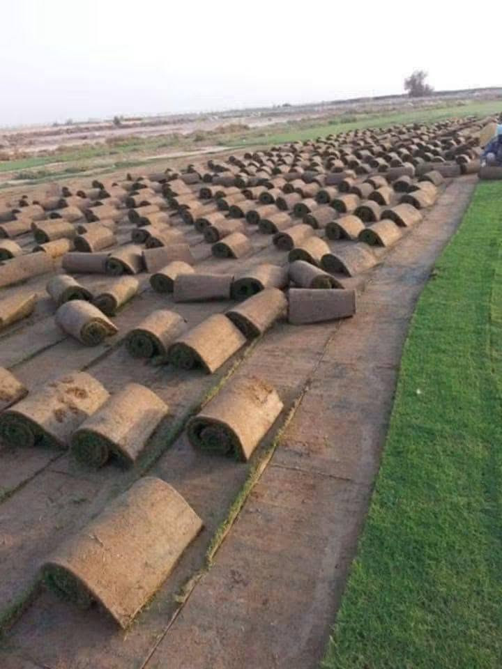 مرحبا زبائنا الكرام نوفر لقد عدنا لكم بل موسم الجديد للزراعه الحدائق بكادر مختص 
  افضل انواع الثيل
الطبيعي وبجوده عاليه
بكافة انوعه🌲
الفرنسي🇫🇷
والايطاليا🇮🇹
والهندي🇮🇳
وبأسعار تنافسيه$
وتوصيل مجاني لجميع محافضات العراق 🚗
للتواصل الاتصال على الرقم ***********
