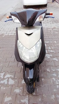 سكنس فحل • مامفتوح • جديده