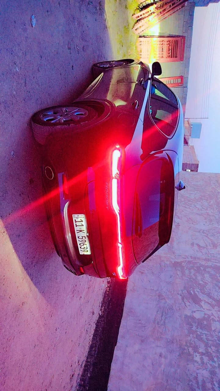 دوج اورنيت • هايبرد • ٢٠٢٤