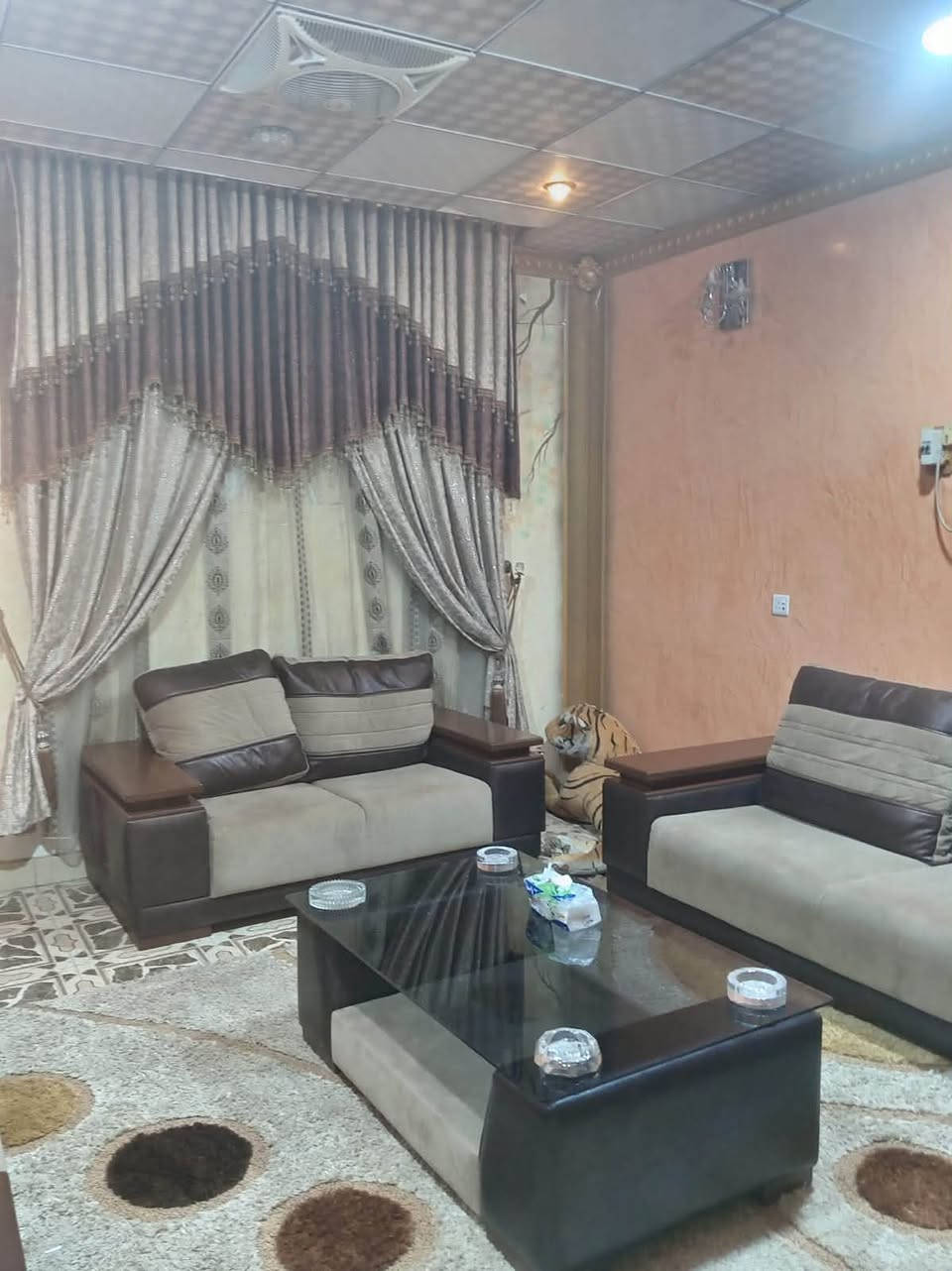 تخم بحاله جيده جداً للبيع
للاستفسار ***********
