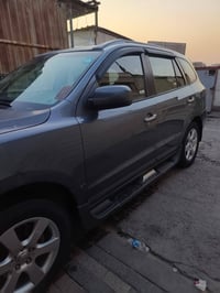 سنتافيه • ٢٠٠٩ • وارد أمريكي