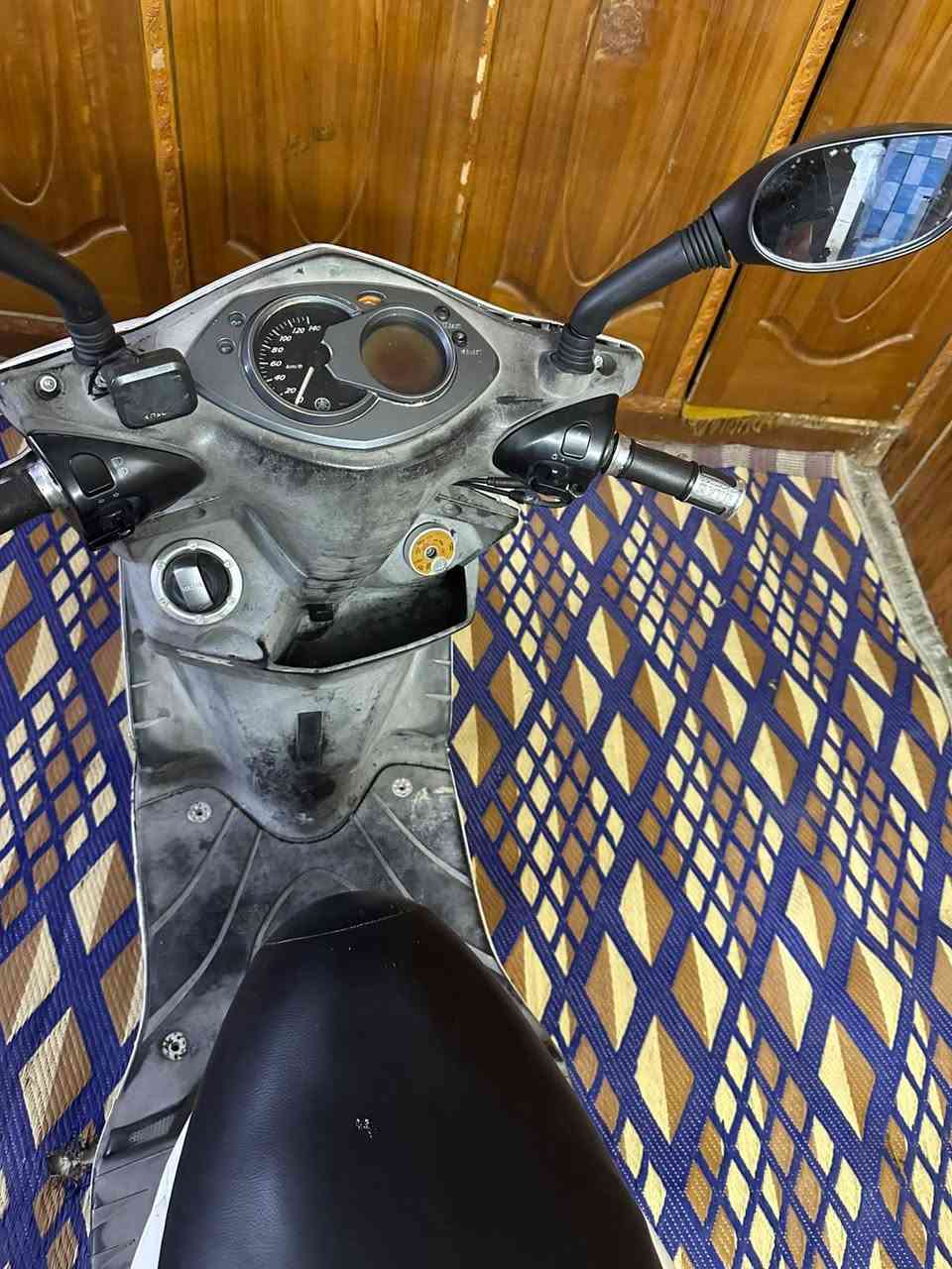 سكنس فحل • ياباني • كفاله عامه