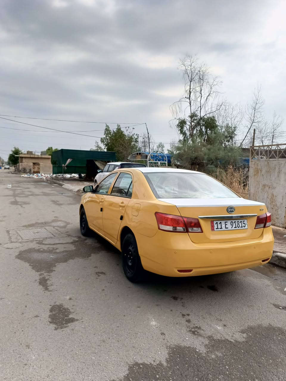 مكفوله • ضربه وصبغ • ٢٠١٣