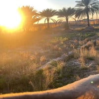 نصف دونم • كربلاء طريق بغداد • مباشر على النهر
