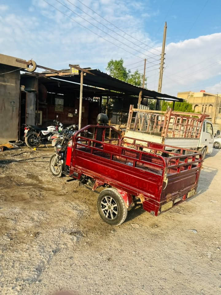 ستوته • ٢٠١٩ • صقر