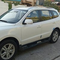 سنتافي ٢٠١١ • ابيض • بدون صبغ