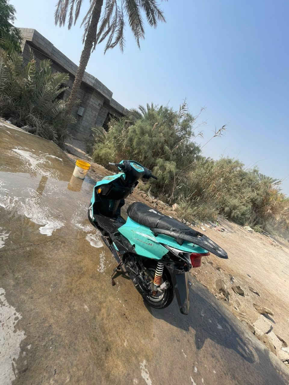 سكنس • ياباني • مفتوه