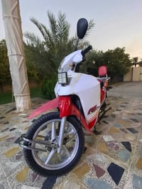 ماطور سرفيز • ٢٠١٤