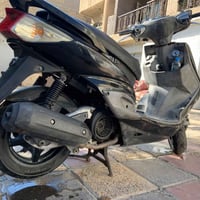 سكنس فحل • شرط • خطين