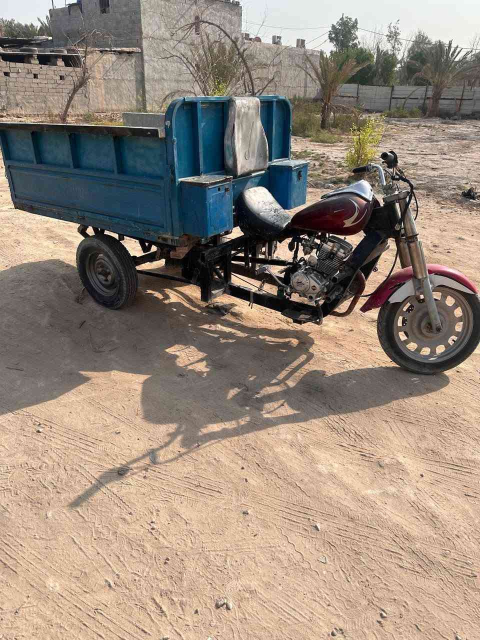 ستوته • رقم بيض • سنويه