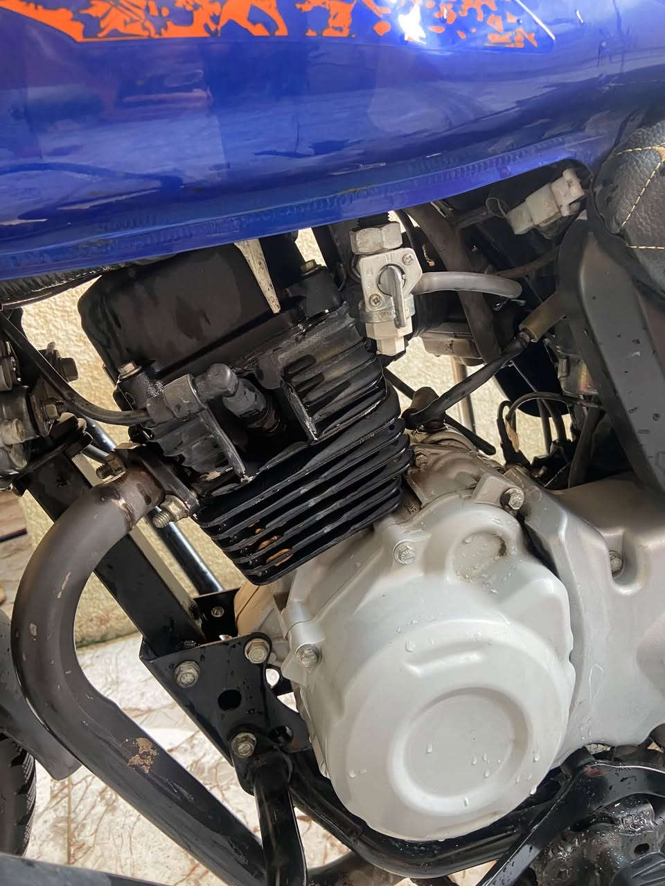 بوكسر • 22 جبلي • مرقم