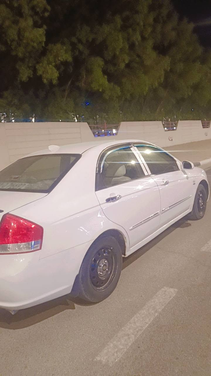 سيراتو • ١٦٠٠ • مصبوغه
