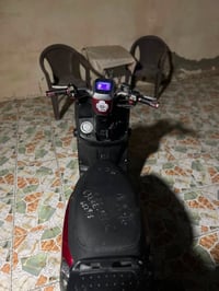 بوليسي • نظيفه • بلاديه