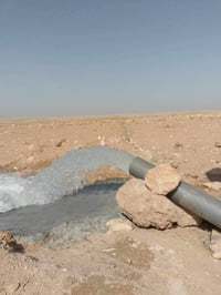 شرجي سلحوبيه • ٣٥٠دونم • بئر واحد