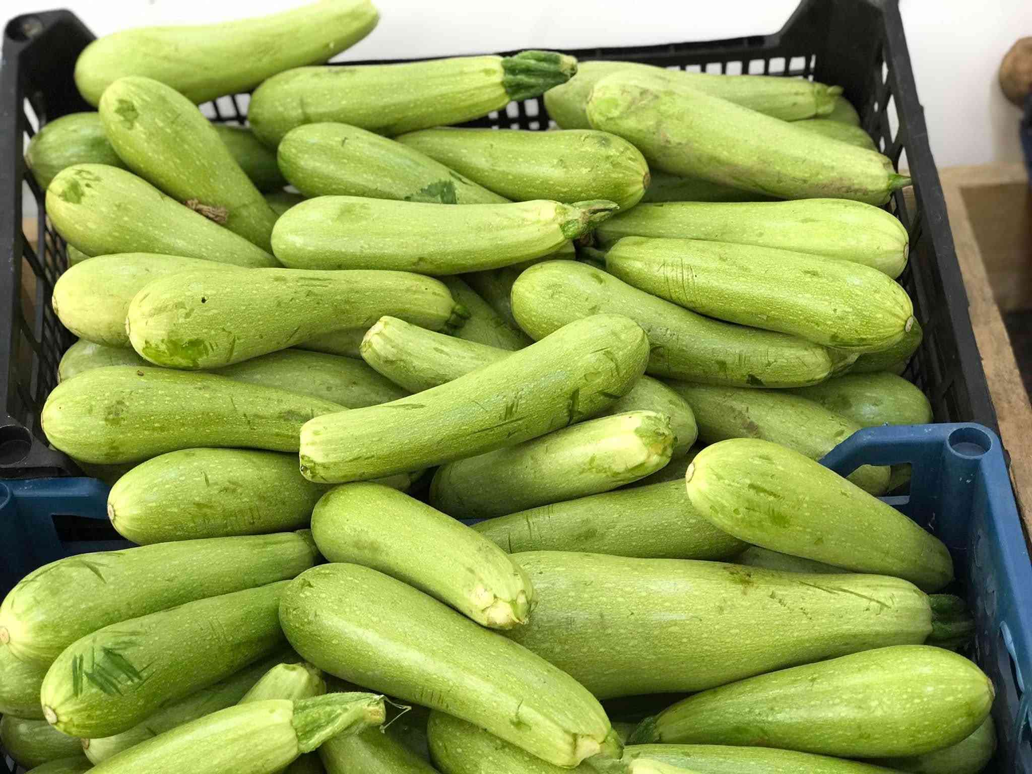 خضرة وفواكه • توصيل • نهاية شارع المعهد