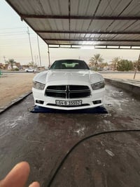وارد خليجي • ٢٠١١ • ام قصر