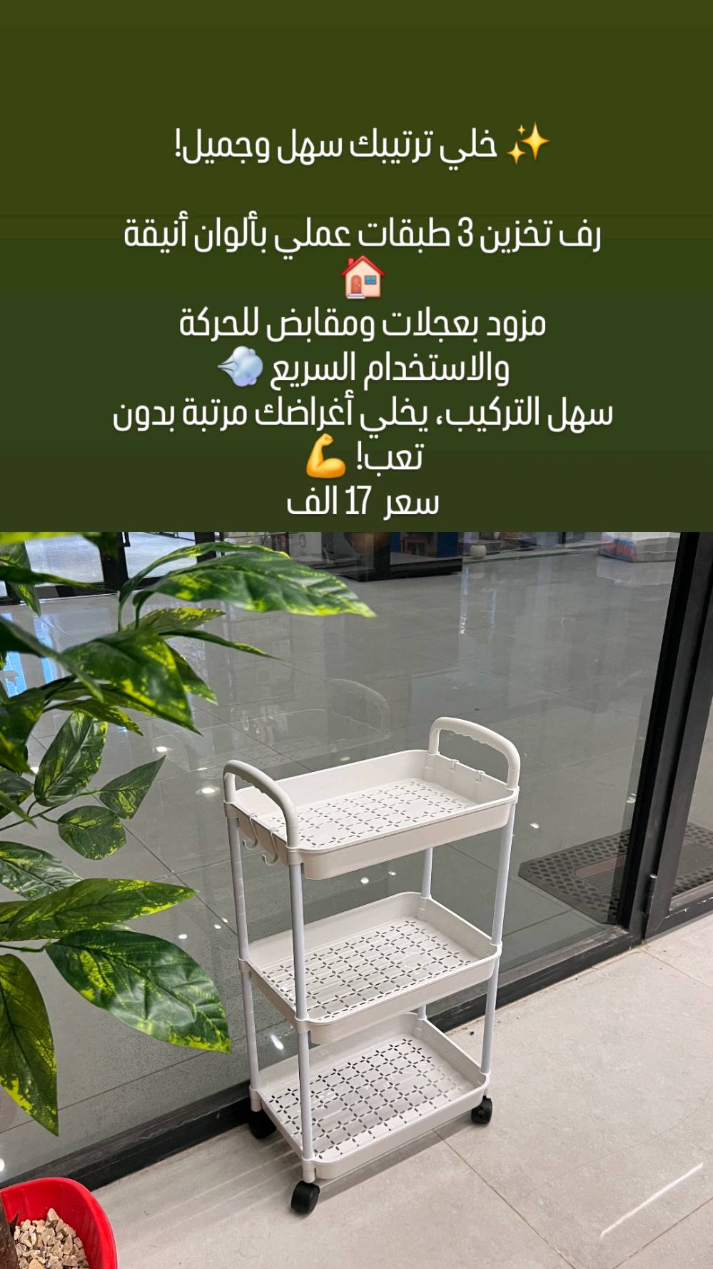السلام عليكم ورحمة الله وبركاته 🌹

📌 متوفر حسب الصور والمعلومات المرفقة بالمنشور.

للمهتمين بالمنتج أو الراغبين بمعرفة التفاصيل:

📩 التواصل يكون عن طريق الخاص. 

سعر التوصيل بغداد 3 الف

سعر التوصيل لبقية محافظات العراق 5 الف 

وعند طلبك منتج واحد أو أكثر في طلب واحد فيكون سعر التوصيل واحد 

وشكرًا لتفاعلكم ودعمكم 🌹