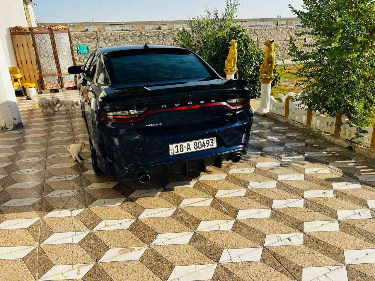جارجر • ٢٠١٦ • ضرر امامي