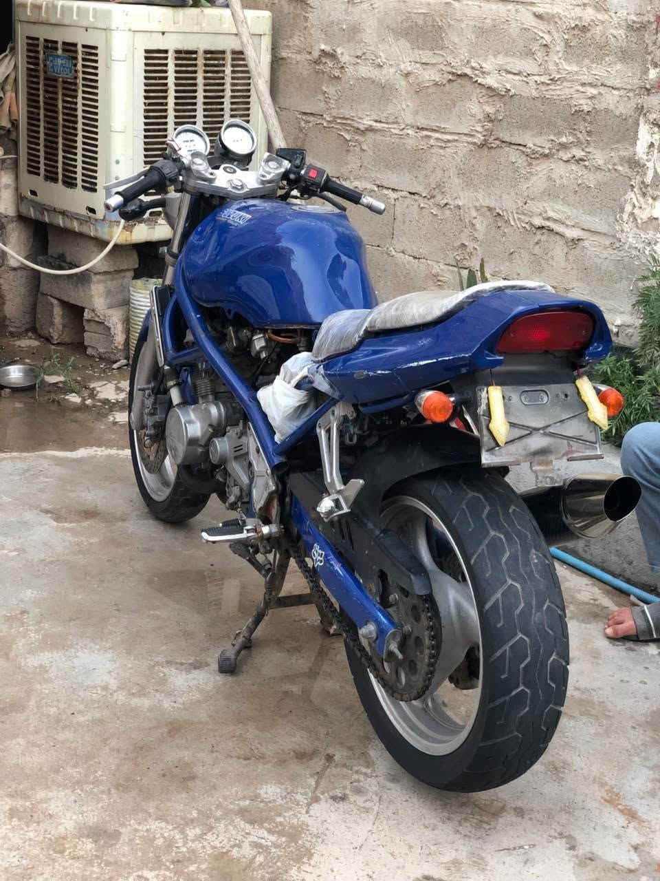 بطحه باندا • ٢٥٠ • محترك