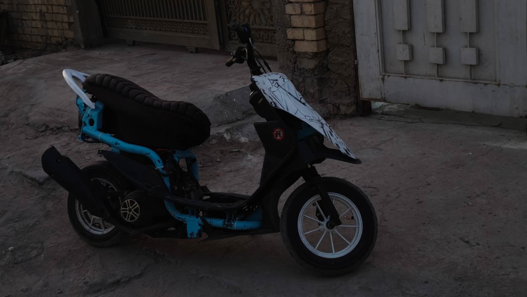 ماكس عدلة • كلجات رياضي • ويل نجمة