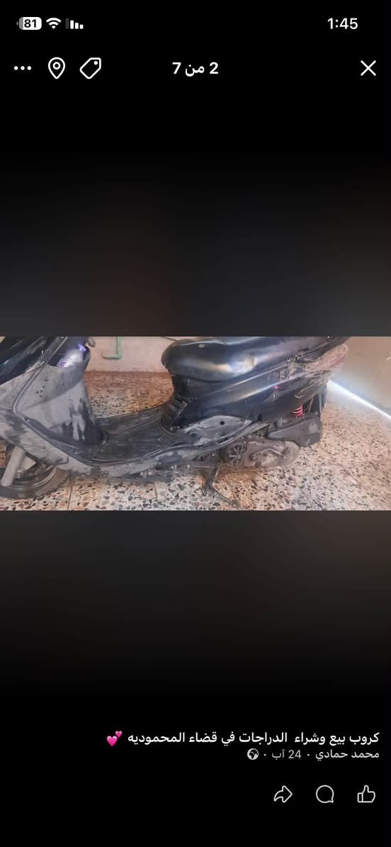 بريز • فحل • مفتوحه