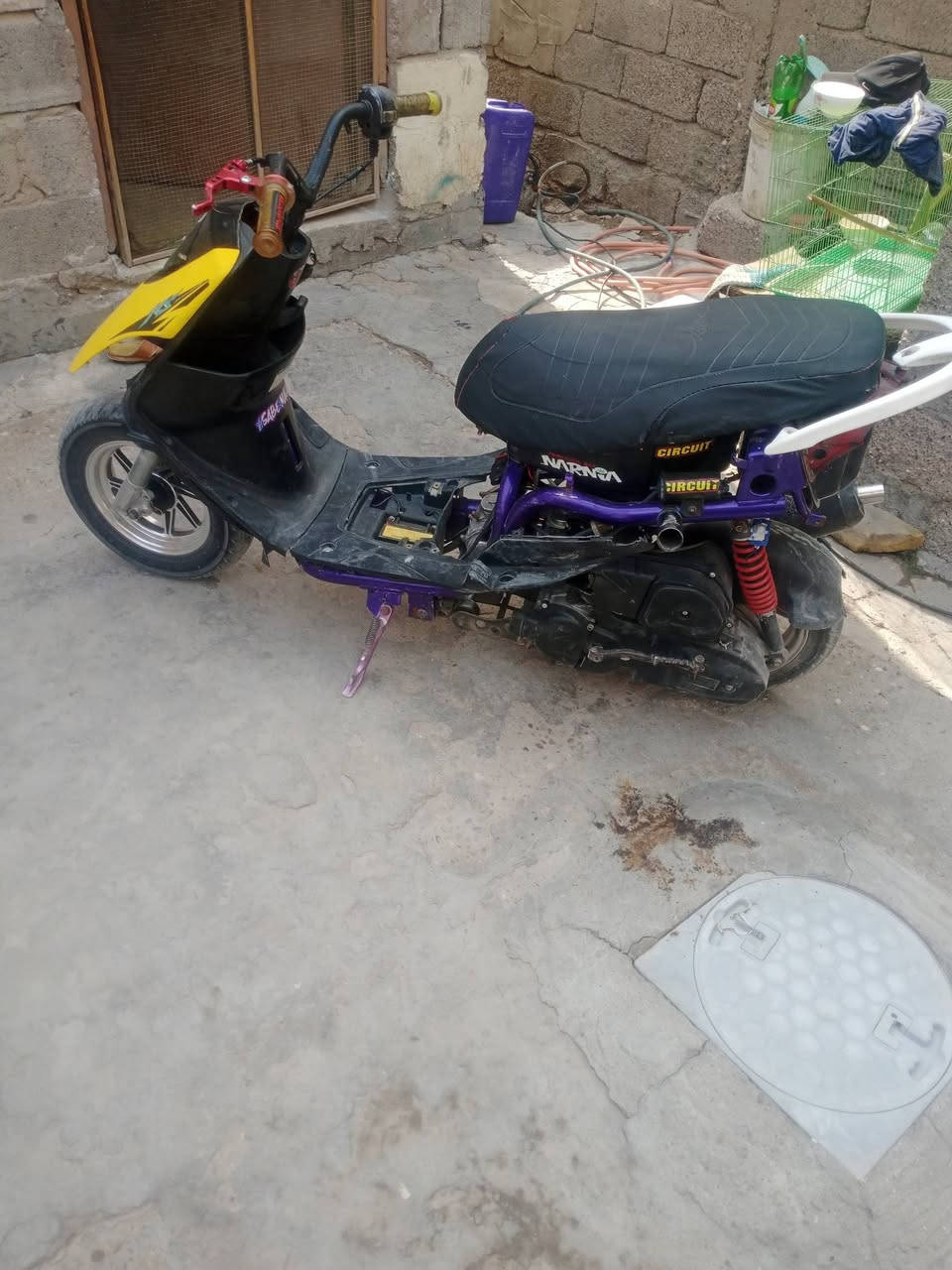 ماكس عدلة • بوشه 55 • ناعمه