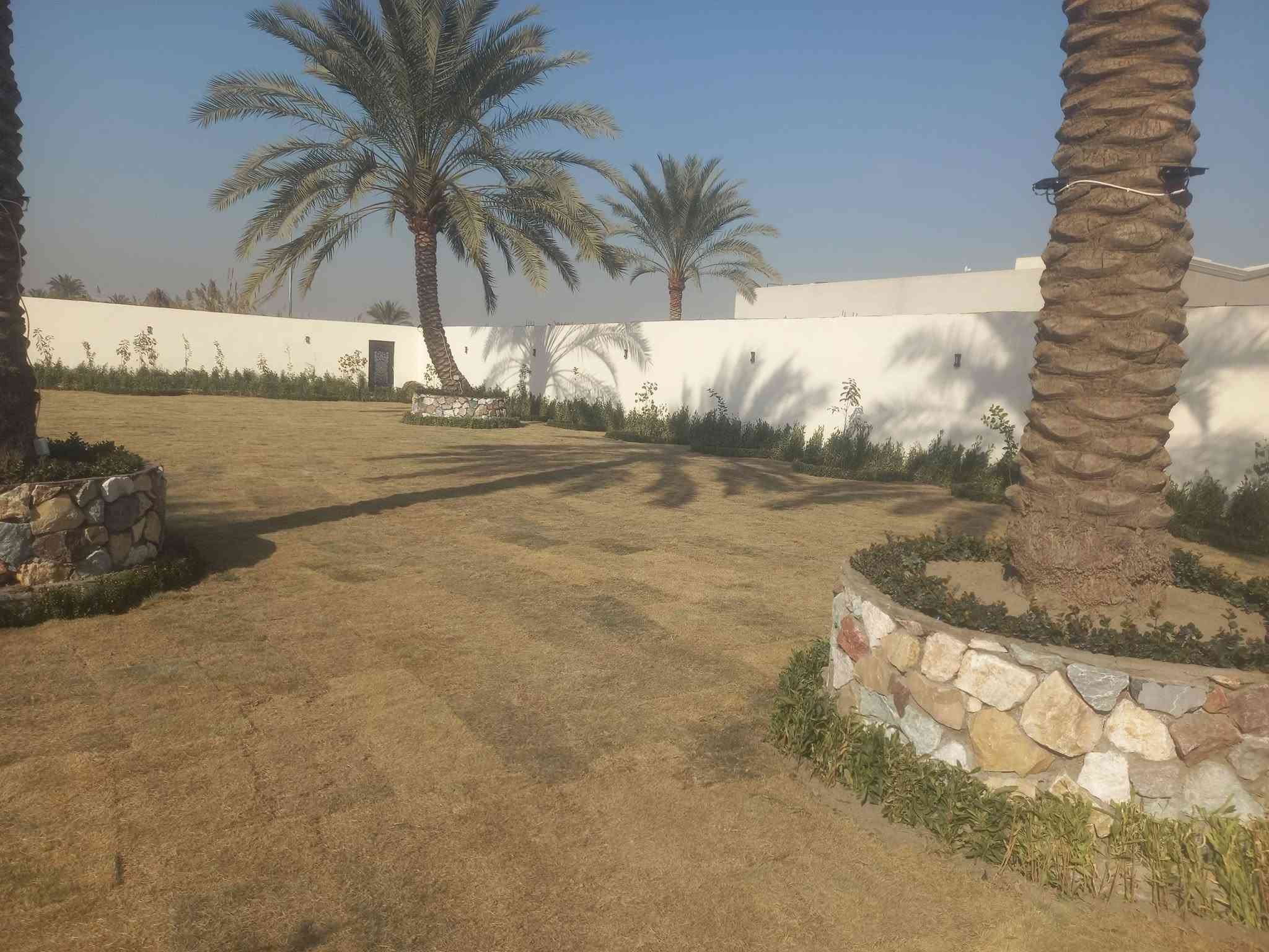 تغليف حجر النخيل • تأسيس شبكة ماء • المدائن الورديه