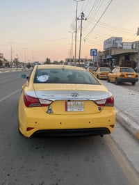 سوناته • ٢٠١٢ • وارد مريكي