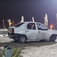 لوجان • ٢٠١٠ • مشروع وطني
