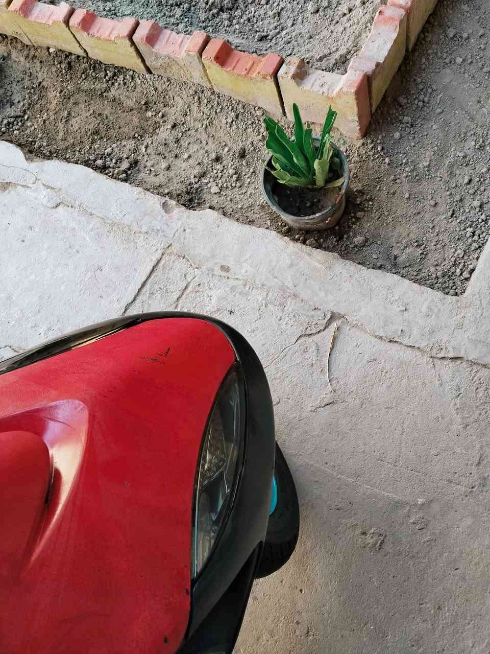 بوشه 55 • مكينه ناعمه • بصرة