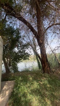 الكوفة • ١٦٠٠م • بيها تمليك