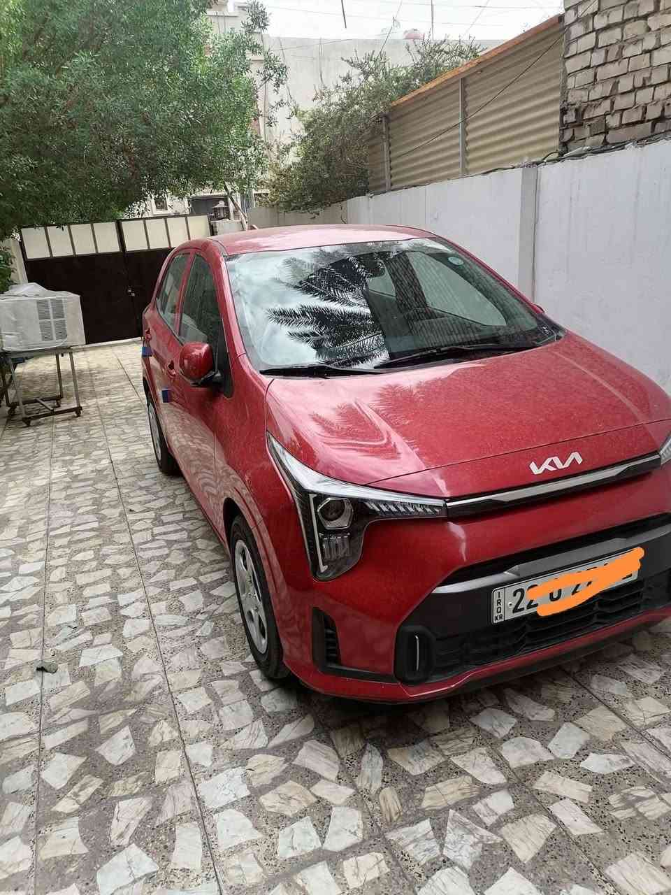 بيكانتو ٢٠٢٤ • خليجي • رقم أربيل