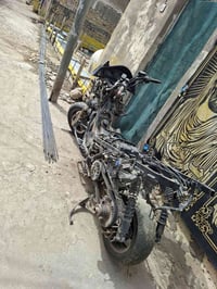 سلفر 600 • محتاج عقل • محتاج ضفيره