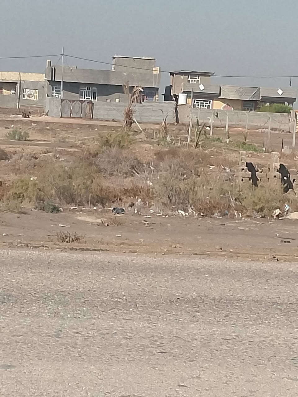 بيت يصلح حسينيه موكب المساحه 350يبعد عن الشارع العام،50متر للبيع ***********
