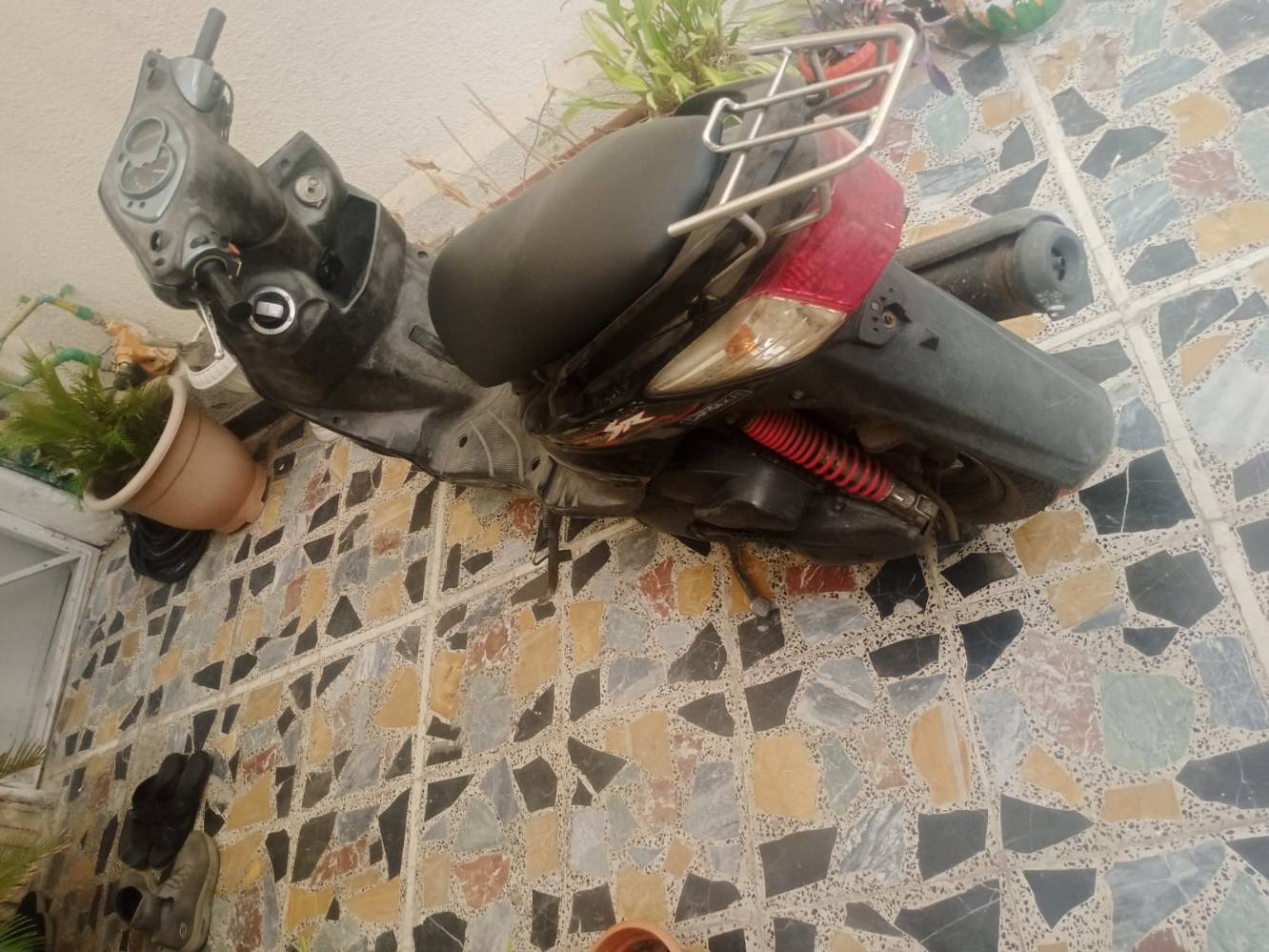 سكنس فحل • ياباني • تنضيف نوزل