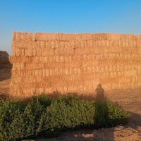 نقال تبن • مشتغل تبن • مطلوب عمال