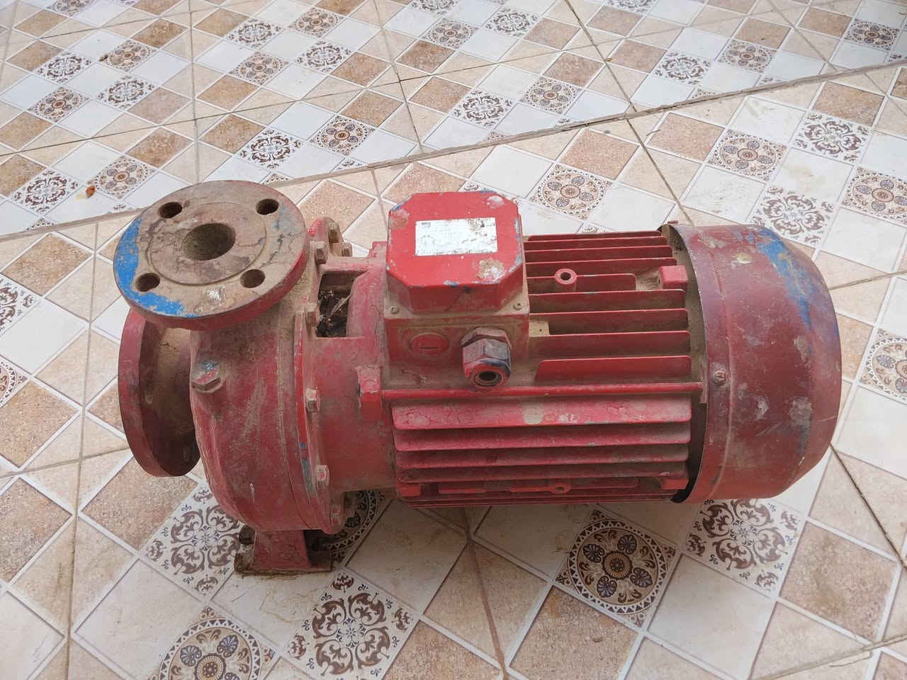 مضخه ماء ما مستخدم شرط 
صناعه إيطاليا 
3فيز 
السرعه..2900دوره في الدقيقه
الجديد مليون وربع 
متوازي وريده 750وبي مجال 
المو شراي لا يكسر بسعر ويشلع كلبي 
المكان ناصريه الشطره العمار 
غير متواجد ع الفيس
‏‪***********‬‏
