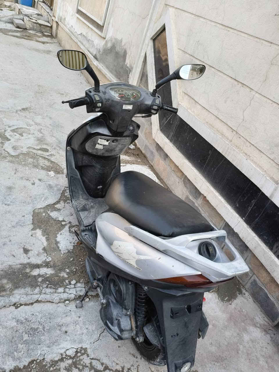 ماكس • ١٤٠ • ثعلب