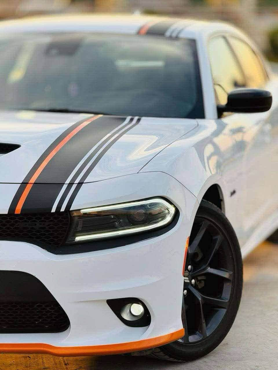 جارجر ارتي RT ابيض 2023 لاست كول بلاك
ماشيه تقريبن 20 مايل  رقم بغداد الجديد ، هيمي محرك v8 5700 بعدها بريحة الشركة 

شاشه كبيرة ، شفتات ستيرن ، تشغيل عن بعد 

ويل كب 20 ، سوبر تراك باك ، دكمه سبورت وسوبر ، رادار ، كشنات تدفئة ، ولف رسنك ، وباقي المواصفات المعروفه ، 

*برمجة سيفتي وحماية وتحديث اون لاين العقل 2025 كامل (يم البطل مصطفى ايكل)

السيارة صاروخ بالمشي وربع دينار ما تصرف عليها ، والسيارة احلى من الصوره وجديدة

السعر  245 مجال بسيط   والحادث مرفق بالصور

مكان السياره بغداد ( *********** )
