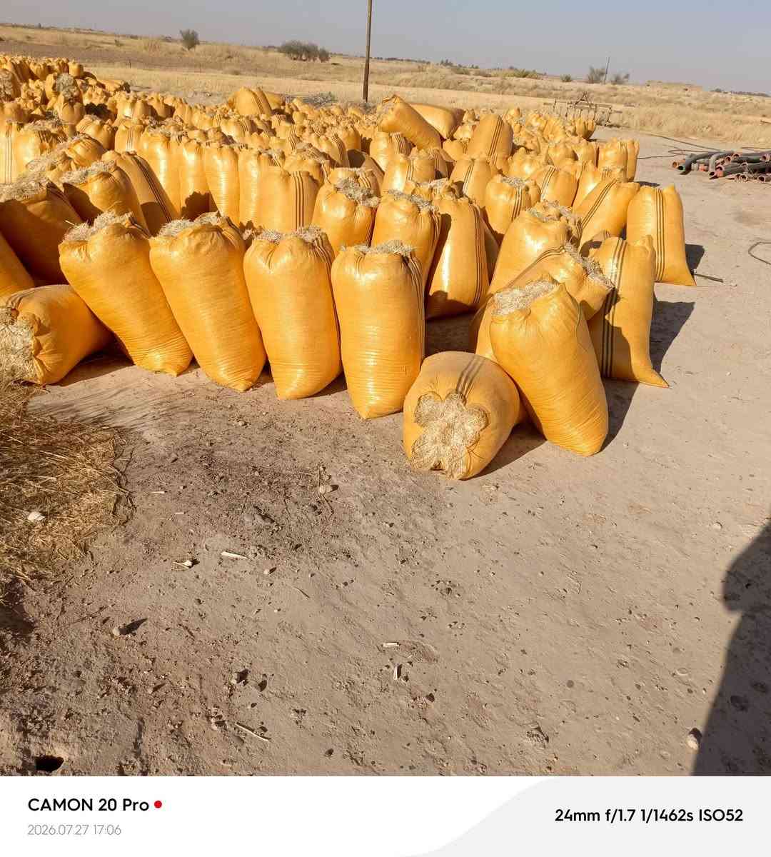 يوجد تبن البيع كمية مفتوحه السعر مناسب سعر الزواج 2500  / ***********
