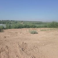 ارض زراعية • ١ دونم • الدير الاوسط