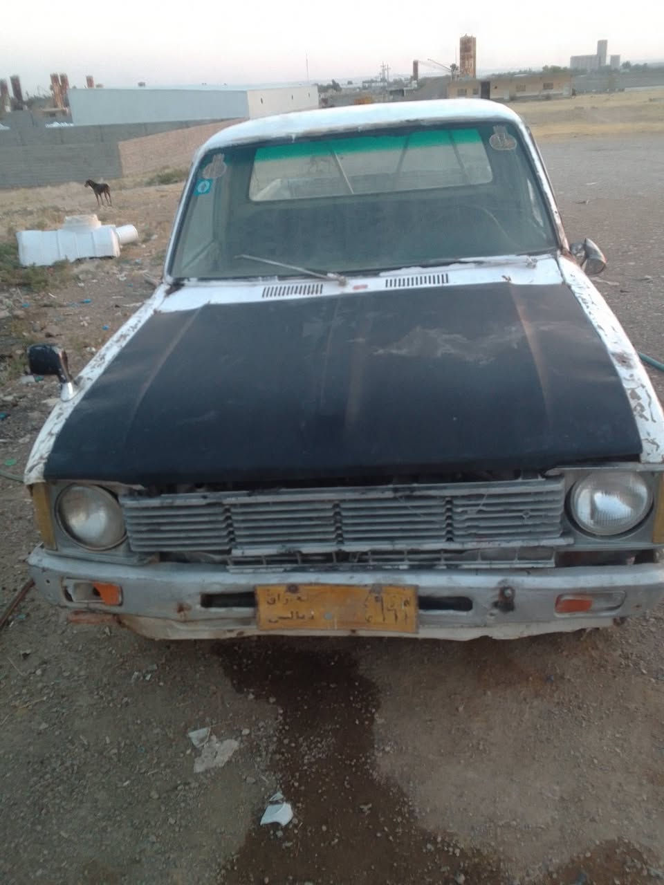 بيكم 80البيع سنويه ل2030بس شد لوحات نكليزي شرط تحويل مكان دياله خانقين سعر 13شراي يتصل***********
