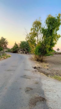 سند25 • ٣ دوانم ونص • ماء وكهرباء