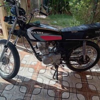 كلك • بوش وبستم • ولفات